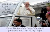 Pope Francis: Challenges from urban cultures