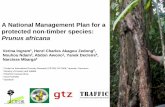 A National Management Plan for a protected non-timber CITES listed tree species: Prunus africana