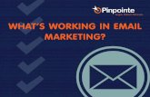What Works in Email Marketing Today