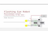 Flashing Eye Robot / Teaching Electronic Circuits