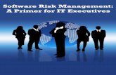 Software Risk Management for IT Execs CAST