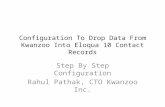 Kwanzoo Cloud Connector Step by Step Guide Drop Data Into Eloqua Contact Records