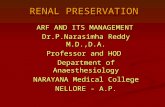 Pnr slides of renal modified