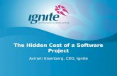 Hidden costs of software product