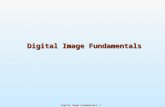 03 digital image fundamentals DIP