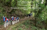 sikkim adventure mountaineering course & ecotourism course sikkim
