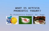 What is activia probiotic yogurt