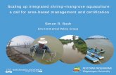 Scaling up integrated shrimp-mangrove aquaculture: a call for area-based management and certification