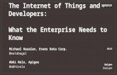 The Internet of Things and Developers: What the Enterprise Needs to Know