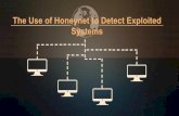 Honeynet architecture