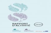 Rapport activite 2014_scientipole