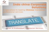 Chinese Language Solutions