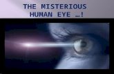 The misterious human eye!