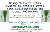 Using the Vetiver Grass Technology to Protect Shorelines - Golabi