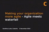 How to Make Your Organisation More Agile - J. Boye Conference 20141105