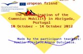 The dissemination of the comenius mobility in Portugal only teachers
