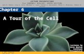 Ch 6: A Tour of the Cell