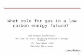 CBI energy conference: Malcom Rice Jones