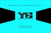 8.raport anual final YB cluj