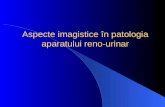 Aspecte imagistice in patologia aparatului reno-urinar