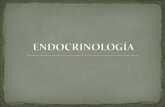 Endocrinologia Jesus.