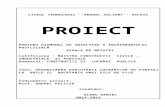 Proiect Vechi 2013 Finisaje Intr-o Baie Si Bucatarie