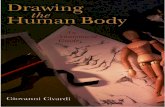 Drawing the Human Body an Anatomical Guide