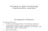 89039270 Anatomi Dan Histologi Reproduksi Wanita
