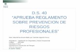Presentacion D.S-40