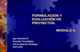 formulacion y evaluacion de proyectos Cap 1
