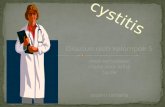 Pp Cystitis
