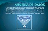 Minería de Datos - Conceptos Básicos