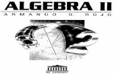 Algebra II - Armando O. Rojo.pdf