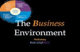 Bua 101 Business Environment