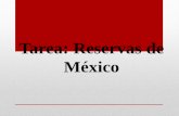 Tarea_ Reservas en Mexico_2
