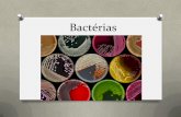PDF Bactérias, Fungos e Protozoários