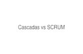Cascadas vs SCRUM