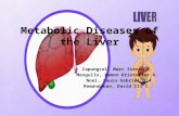 Metabolic Diseases of the Liver