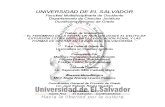 El Fenómeno de La Renta El Salvador