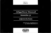 algebra lineal teoria y ejercicios.pdf