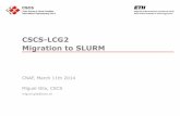 20140311 Pregdb Cscs-lcg2 Migration to Slurm