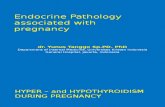 Endocrine Pathology Associated With Pregnancy - Dr. Yunus Tanggo