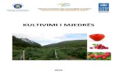Broshura Kultivimi i Mjedres Shqip Opt