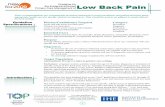 Low Back Pain Guideline