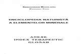 Enciclopedia Naturista a Elementelor Minerale - Anexe, Index Terapeutic, Glosar de Gregorian Bivolaru