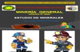 TEMA 04-MG- ESTUDIO MINERALES.pptx