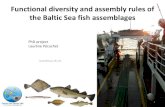 Coastal fish functional diversity in the Baltic Sea.pdf