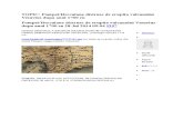 Pompei Si Herculane Au Fost Distruse de Eruptia Vulcanului Vezuviu Dupa Anul 1700 e.n.