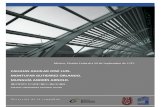 Puentes e Infraestructura CMM.pdf