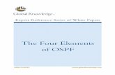 The Four Elements of OSPF